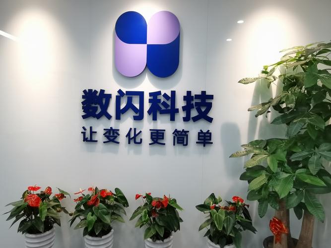温州数闪科技
